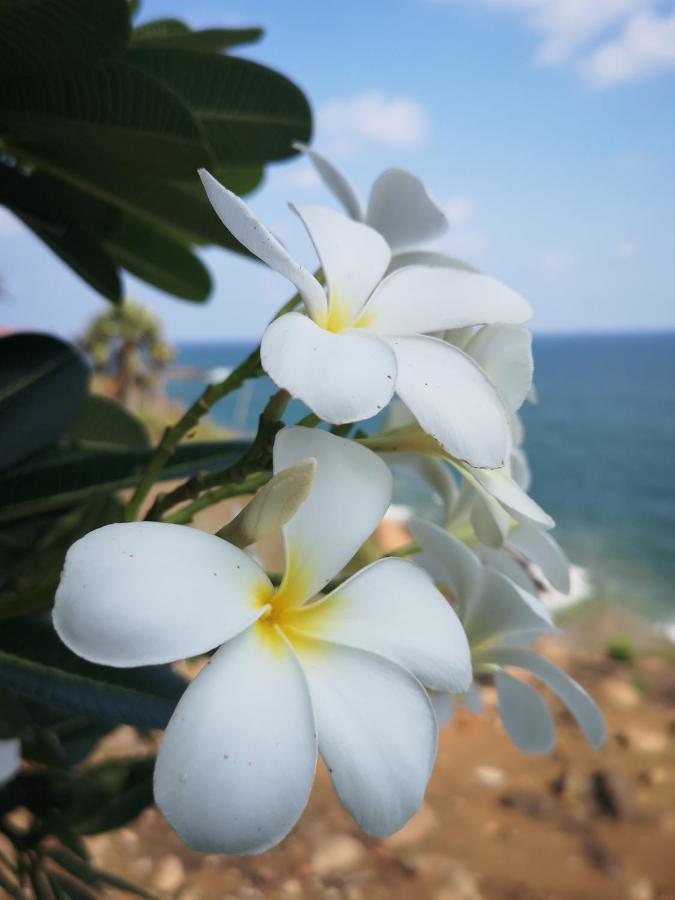 Cherai Lake Resort Cherai Beach ภายนอก รูปภาพ