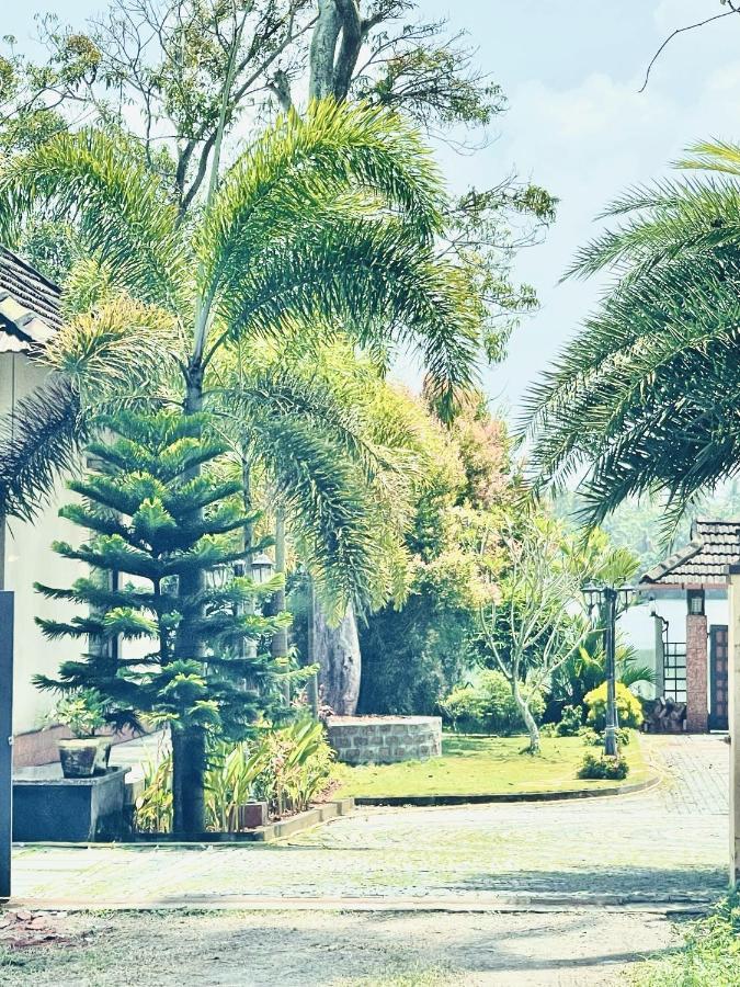 Cherai Lake Resort Cherai Beach ภายนอก รูปภาพ